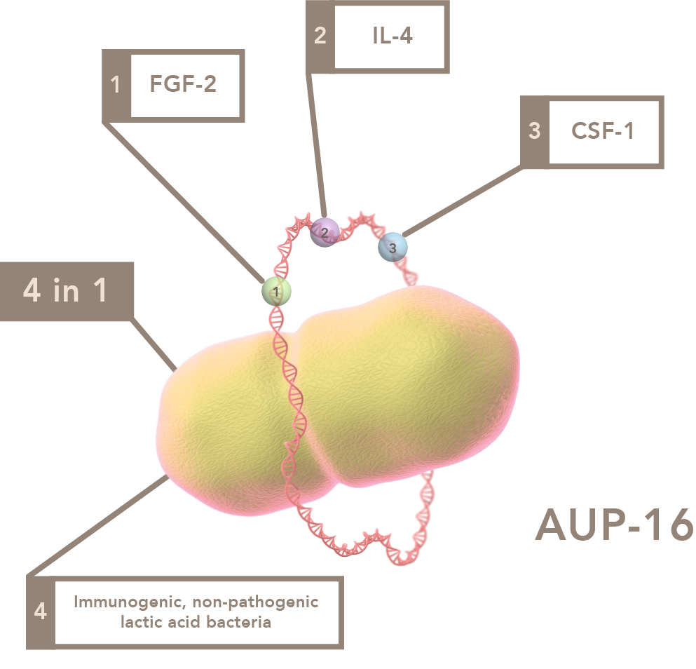 Aurealis Therapeutics AUP-16