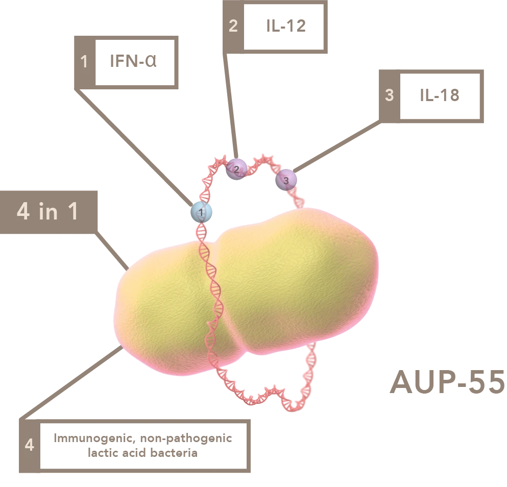 Aurealis Therapeutics AUP-55