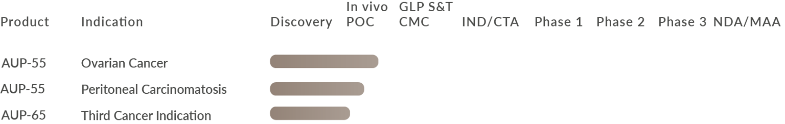Aurealis Therapeutics Pipeline Oncology